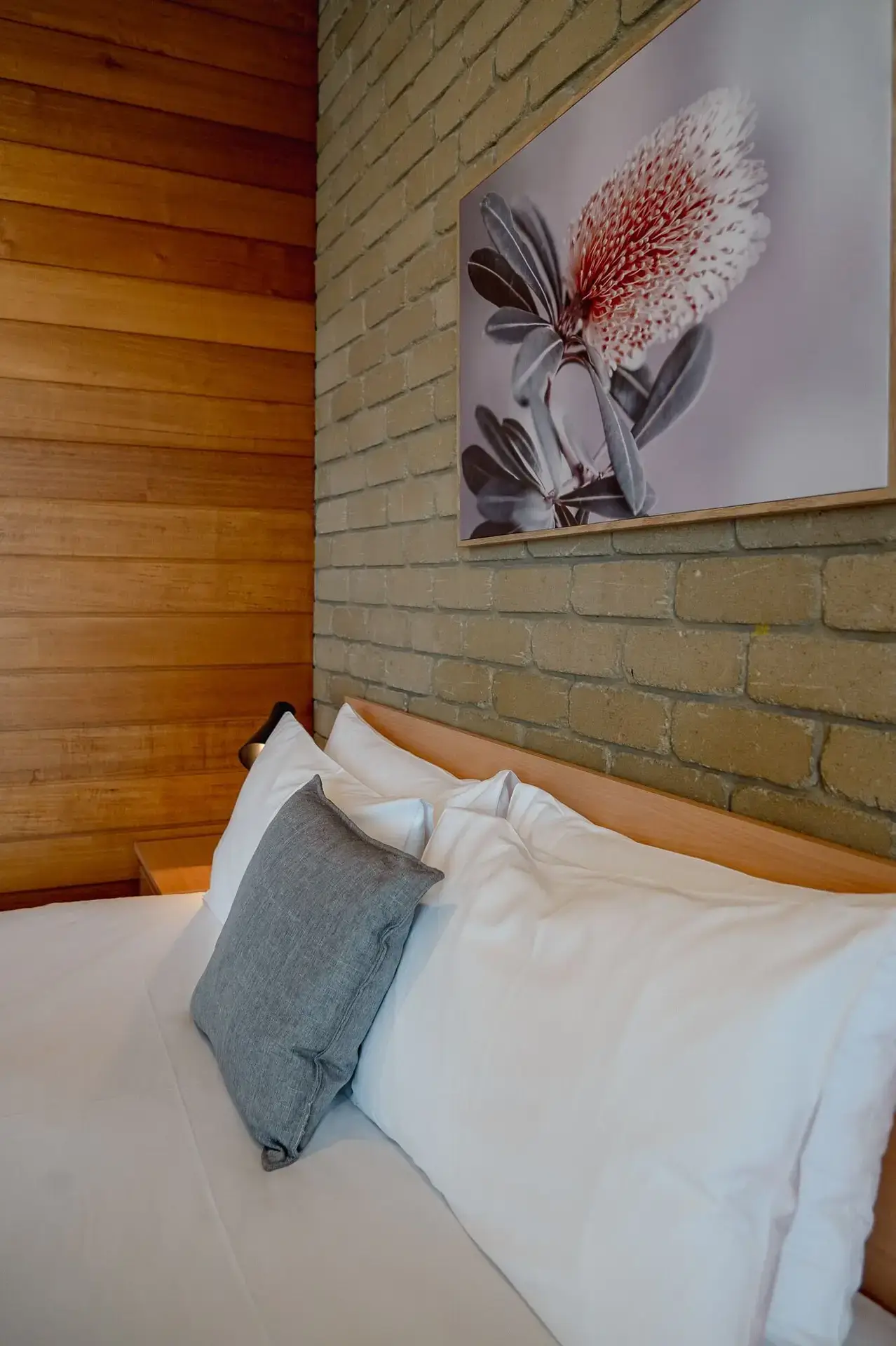 Accommodation And Places To Stay In Bairnsdale | Mitchell on Main. - Accommodation Queen motel Room in Bairnsdale